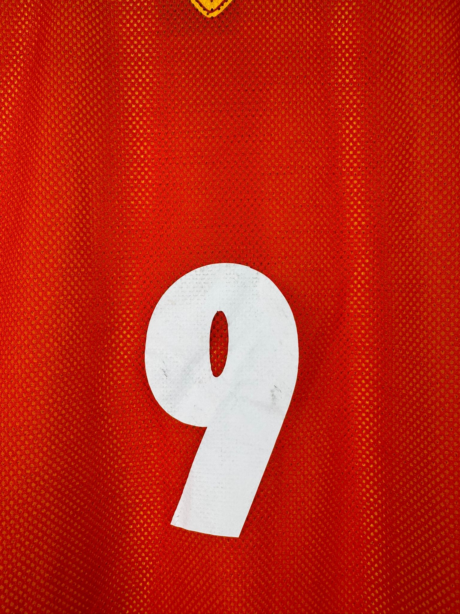 BELGIUM 2002 PRO TRAINING SHIRT - #9 (SIZE L)